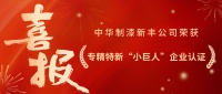 喜报！菲律宾亚星新丰公司荣获专精特新 “小巨人” 企业认证！